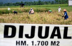 Alih Fungsi Lahan Maksimal 80 Hektare
