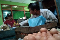 Sebulan Harga Telur Masih Naik Turun 6 Kali 