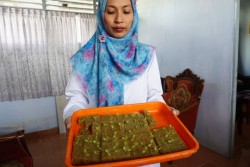Angkat Hidroponik, Logandeng Andalkan Anak Muda