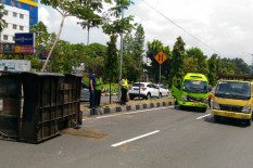 Gara-Gara Sapi Lepas, Elf Tabrak Mobil