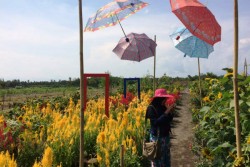 Wisata Selfie di Bantul Diperkirakan Makin Marak saat Lebaran