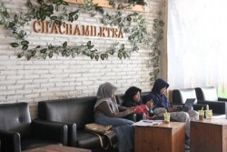 Menikmati Milk Tea dari Bahan Terbaik ala Tiongkok