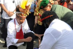 Presiden Jokowi Penasaran dengan Ikan Kepala Batu, Seperti Apa?