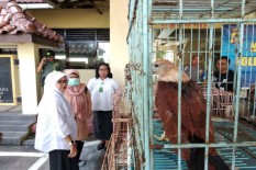 Polda DIY Bongkar Kasus Jual Beli Satwa Dilindungi