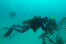 Tak Hanya Kapal, Rumpon Ilegal di Tengah Laut Juga Harus Ditertibkan, Ini Alasannya