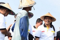 PKS Nilai Impor Garam Dilematis