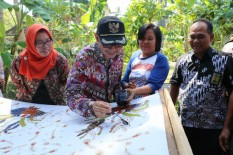 Indahnya Batik Panjatan Tak Kalah dengan Batik Daerah Lain