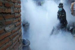 Antisipasi Merebaknya Demam Berdarah, Dinkes Sasar Indekos 