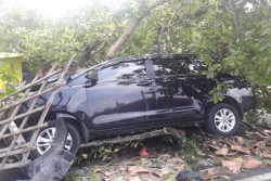 Berniat Menyeberang, Bocah 10 Tahun Tewas Tertabrak Mobil