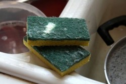 Aih! Spons Dapur Ternyata Gudang Bakteri