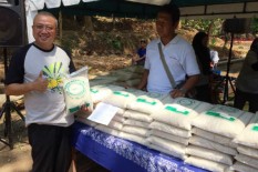 Petani Mau Pakai Merek Beras Asli Bantul? Eits, Ada Syaratnya