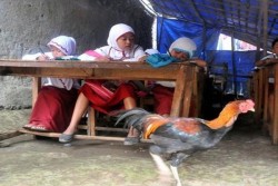 Ketua DPR Bilang Gaji Guru Honorer di Daerah Masih di Bawah UMK