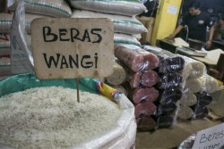 Stok Pangan Aman, Masyarakat Diminta Tak Waswas Harga Bakal Naik Tinggi