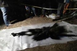 Di Sumut, Orang dengan Gangguan Jiwa Dibakar Hidup-Hidup