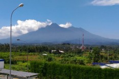 Dipicu Novel, Kini Gunung Gede Ramai Wisatawan Pendaki