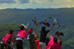 Mencintai Burung Paruh Bengkok Bareng Jogja Parrotdiningrat