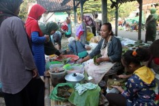 Di Sragen, Anak 10 Tahun Banting Tulang Bantu Ibu