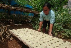 Lempeng dan Pathilo, Kuliner Andalan Desa Ngestirejo