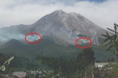 BPPTKG: Hutan Terbakar karena Aktivitas Vulkanik Itu Biasa
