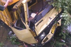 Tak Kuat Menanjak, Truk Pengangkut Pakan Ayam Ini Masuk Jurang