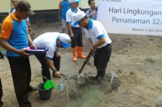 PLN Tanam 1.000 Cemara Udang di Gua Cemara