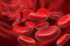 Soal Warna Darah, Ini Penjelasannya Kenapa Merah Cenderung Hitam