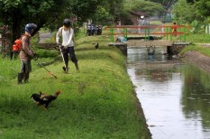 Kabar Gembira untuk Petani Kulonprogo, Saluran Induk Kalibawang Bisa Dibuka