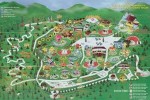 Taman Wisata Safari Prigen Punya Zona Baru dari Kawasan Australia