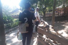 Walah, Parkir Mobil di Depan Gembira Loka Ditarik Rp30.000!