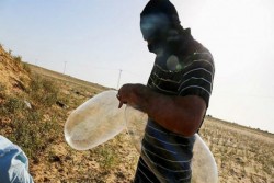 Warga Palestina Serang Israel dengan Kondom