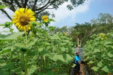 Objek Wisata Baru Harus Terus Bermunculan
