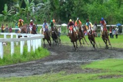 Lebih dari 100 Kuda Pacu Ramaikan Paku Alam Cup VI 2018