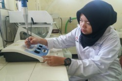 Mahasiswa UII Temukan Obat Antikanker Serviks dari Daun Singkong Gajah