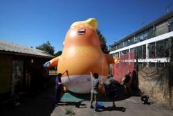 Balon Bayi Trump Raksasa Bakal Sambut Kedatangan Trump di London