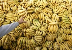 Siapa Sangka, Apel Baik untuk Otak, Pisang Melindungi Jantung