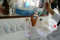Kemangi Mampu Meredakan Stres