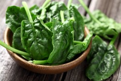 Salad Bayam Mencegah Anda dari Kepikunan