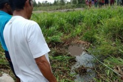 Tragis, Seorang Pemuda Diterkam Buaya, Hanya Tersisa Badan dan Kaki
