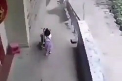 Viral, Bocah Perempuan Tampak Sengaja Lepaskan Kereta Dorong di Jalan Turun, Bayi Pun Terjungkal