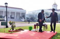 Bertemu di Istana Bogor, Presiden Mikronesia dan Presiden Joko Widodo Tanam Pohon