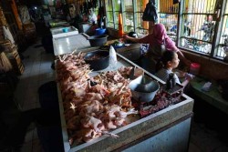 Tak Hanya Mahal, Daging Ayam Juga Langka di Gunungkidul
