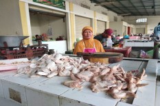 Stabilkan Harga Daging Ayam, Pemkab Siapkan Operasi Pasar 