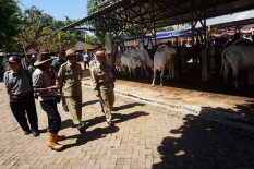 Jelang Iduladha, Harga Ternak di Gunungkidul Mulai Merangkak Naik
