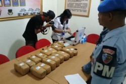 14 Kg Ganja Kering Ditemukan di Markas TNI AU Bogor, Siapa Pemiliknya?