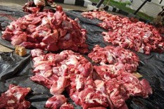 Hindari Plastik Berwarna untuk Bungkus Daging Kurban