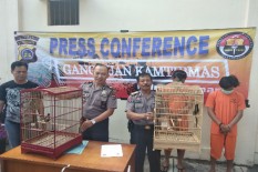 Gondol Murai Seharga Rp58 Juta, Duo Maling Dibekuk 