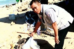  Jumlah Wisatawan Terus Meningkat, EWS Tsunami di Pantai Gunungkidul Perlu Ditambah