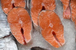 Empat Ikan Ini Paling Rawan Mengandung Merkuri