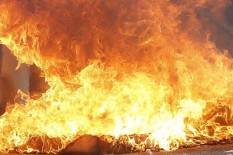 Keterlaluan, Penyebab Bagian Kawasan Taman Nasional Komodo Terbakar Ternyata Karena Prewedding