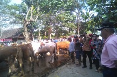 Kata Sri Purnomo, Survei Harga Dulu sebelum Membeli Hewan Kurban